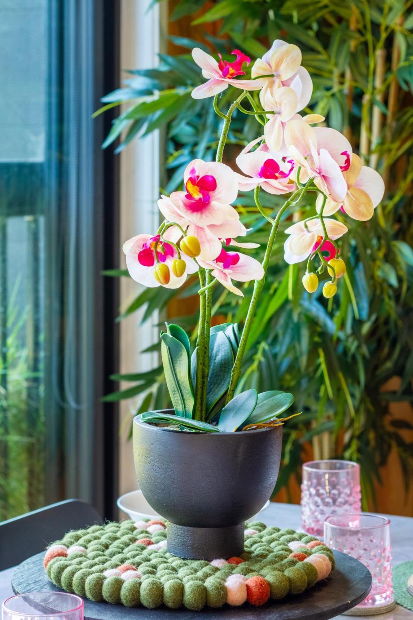 Cozy 1-Bed Apartment With Park Views, Sleeps 4 크라이스트처치 외부 사진